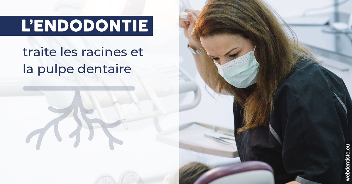 https://dr-laure-roquette.chirurgiens-dentistes.fr/L'endodontie 1