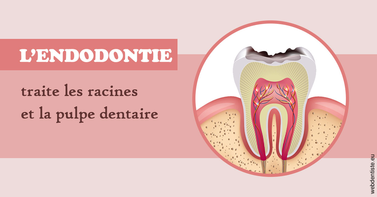 https://dr-laure-roquette.chirurgiens-dentistes.fr/L'endodontie 2