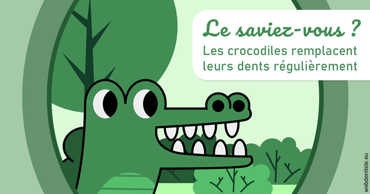 https://dr-laure-roquette.chirurgiens-dentistes.fr/Crocodiles 2