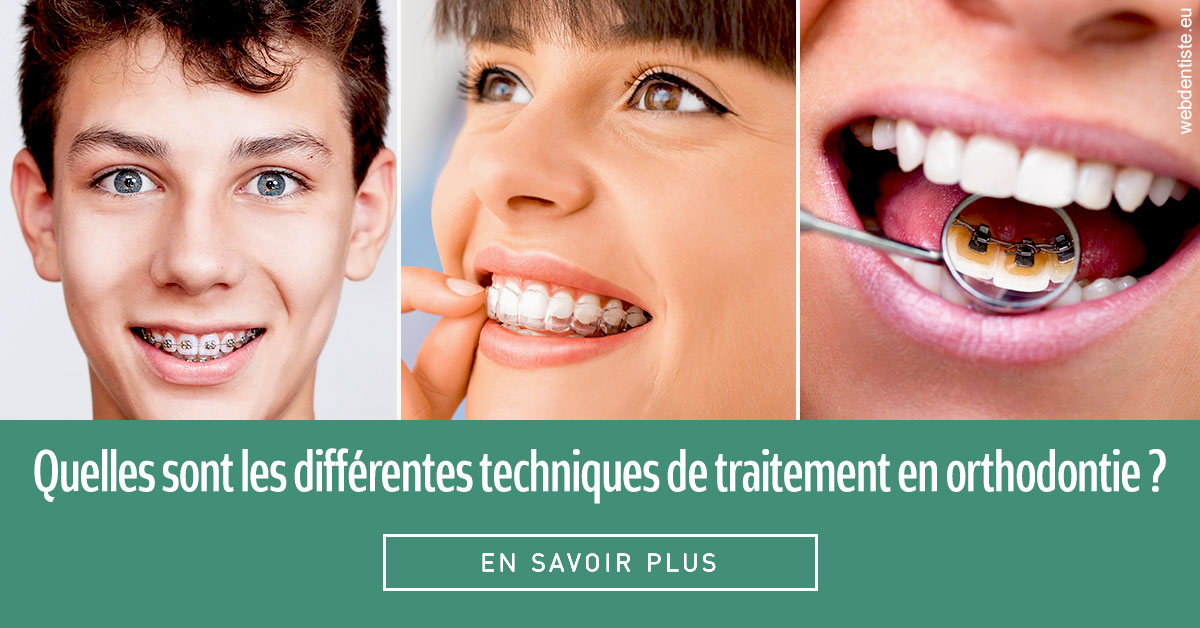 https://dr-laure-roquette.chirurgiens-dentistes.fr/Les différentes techniques de traitement 2