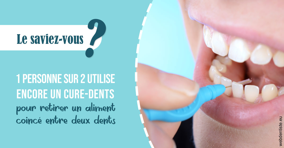 https://dr-laure-roquette.chirurgiens-dentistes.fr/Cure-dents 1