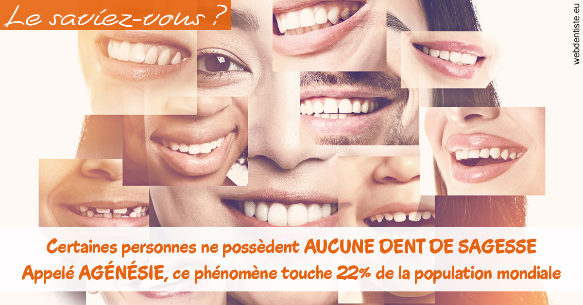 https://dr-laure-roquette.chirurgiens-dentistes.fr/Agénésie 2